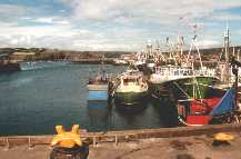 Dunmore docks